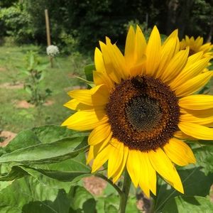 Meet your Posher, Heidi